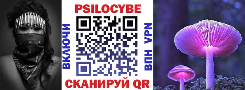 Галлюциногенные грибы Psilocybine cubensis  как найти   Скопин 