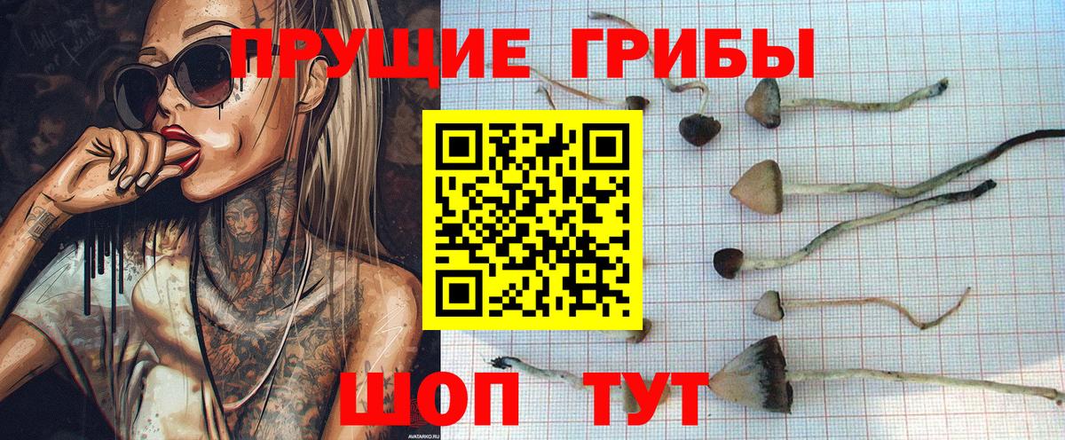 Псилоцибиновые грибы MAGIC MUSHROOMS Скопин