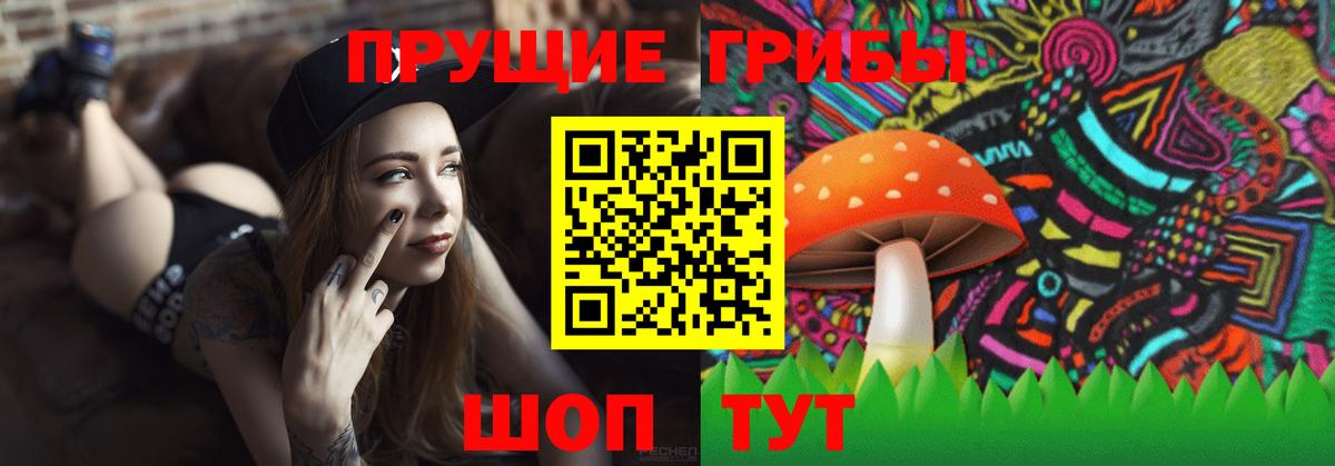 Скопин  Псилоцибиновые грибы GOLDEN TEACHER  Галлюциногенные грибы Magic Shrooms  Вход с VPN 